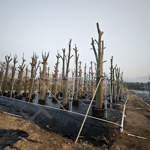 HOKBG Anti-UV duradero 125 <span class=keywords><strong>litros</strong></span> PP tejido <span class=keywords><strong>de</strong></span> plástico grande plantación <span class=keywords><strong>de</strong></span> árboles tejido transpirable bolsas <span class=keywords><strong>de</strong></span> cultivo con asas <span class=keywords><strong>de</strong></span> eslingas - Product Image 3