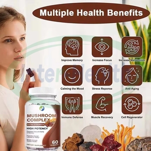 Ausreson Private Label Nootropic Suplementos para el cerebro Lions Mane Mushrooms Gummy Organic Mushroom Gummies - Product Image 3