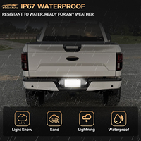 En stock aux États-Unis : 2 feux de plaque d'immatriculation LED pour Ford F150 2015-2019 Raptor 2017-2020, feux arrière fumés pour plaque d'immatriculation