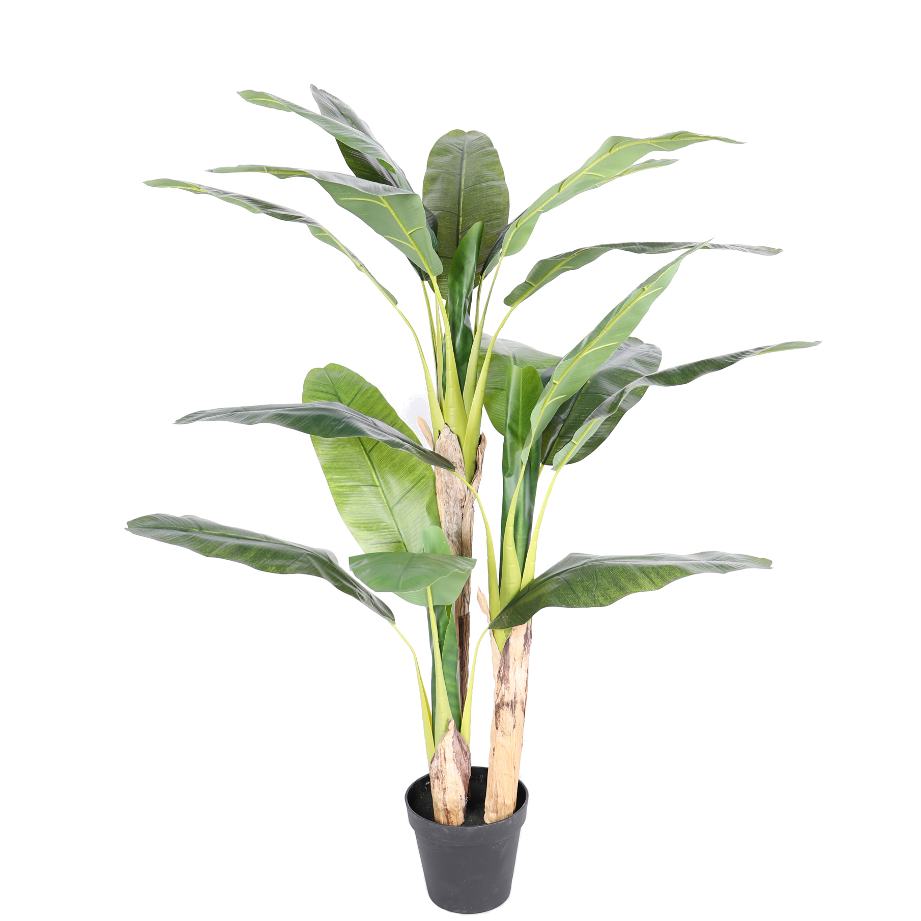 180 ซม. พร้อมไม้จริง