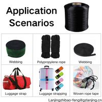 Factory Direct Sales of Black European Standard Polypropylene Yarn, Suitable for Luggage Bags and Handbags