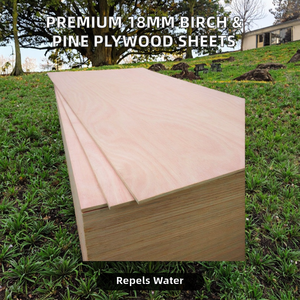 Tableros de Chapa de Madera Contrachapada CDX de Abedul/Okoume/Bintangor de 18 mm de Buena Calidad, Ecológicos, E0, Industriales, para Uso en Exteriores - Product Image 2