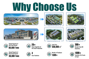 Nourriture pour animaux de compagnie, chiens et chats, extrudée, poulet, bœuf, <span class=keywords><strong>lapin</strong></span>, sans céréales, riche en protéines, 20 kg - Product Image 5