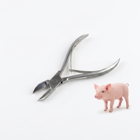 Pince à dents pour porcelets de haute qualité en acier inoxydable, forceps vétérinaire, pince coupante, coupe-dents pour porcs, équipement pour le bétail