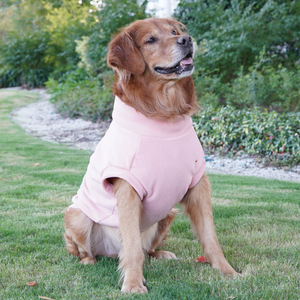 Large <b>Dog</b> Sweatshirt <b>Light</b> Green Fleece Warm Clothing For Golden Retriever Labrador Autumn Winter Pet Hoodie - Product Image 2