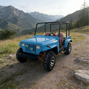 Quad électrique Jeep 350cc 2WD 4WD 2026 pour adultes, 4 places, longue portée, longue autonomie, étanche, durable, haute vitesse - Product Image 1