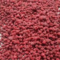 Premium Kwaliteit Iqf Bevroren Frambozen Verse Prijzen Voor Bevroren Fruit