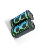 Enceinte Bluetooth extérieure double flamme 10 pouces, enceinte subwoofer, système audio portable haute puissance