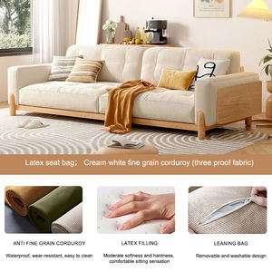 أريكة غرفة معيشة عصرية بسيطة على الطراز الياباني أريكة بقماش مخملي للخدش من قماش القطط - Product Image 6