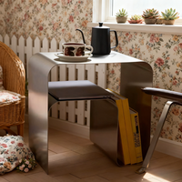 Table basse moderne minimaliste en acier inoxydable argenté avec rangement pour salon et usage domestique