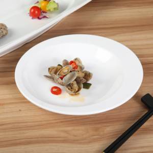 Assiette à pâtes en mélamine A5, blanche, à bord large, ronde, profonde, assiette à dessert occidentale, assiette à salade, assiette de service pour plats froids de restaurant - Product Image 1
