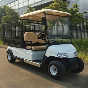 Voiture de golf électrique d'aéroport, camionnette électrique, 24V 48V 60V, meilleure qualité, voitures électriques petites et à faible vitesse - Product Image 5