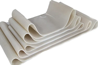Bande transporteuse transparente sans couture blanche MINSEN, fabricant de bandes transporteuse en silicone