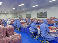 Hoogwaardige bulk gevriesdroogde aardbeien 100% natuurlijk gezond kant-en-klaar fruit snacks 1kg 18 maanden houdbaarheid groothandel