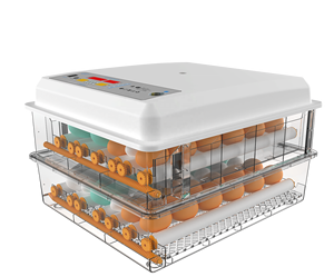 Incubateur d'oeufs de bonne qualité 120 capacité incubateur entièrement automatique <span class=keywords><strong>à</strong></span> <span class=keywords><strong>vendre</strong></span> - Product Image 1