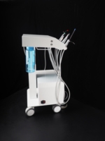 BL 610F Station de Compresseur d'Air pour Unité Dentaire Vétérinaire 550W Sans Huile Silencieuse avec Réservoir 10L, Scaler LED Intégré et Unité de Photopolymérisation