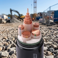 High-efficiency YJV Power Cable XLPE Insulation Oxygen-free Copper Conductor for Industrial Power Grid