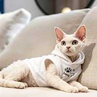 OEM ODM Sweat à capuche sans manches pour chat Sphynx, motif patte et lettres, vêtements pour chat Sphynx, gilet à capuche pour chat sans poils, haut pour chaton, vêtements pour animaux de compagnie