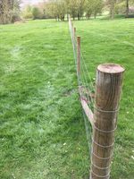 Clôture de sécurité en acier galvanisé robuste, écologique, hauteur 1,2 m, grillage métallique pour élevages et protection des frontières