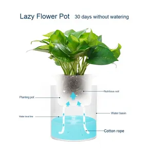 Pot absorbant l'eau automatique de radis vert en plastique Transparent de haute qualité Pot intérieur en spirale blanche à vendre - Product Image 4