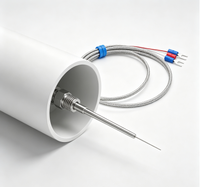 Termometer Tahan Air Industri Rtd Pt1000 Probe Platinum Resistance Thermometer Sensor Termokopel Tipe K Pt100