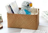 WQY GroceryShop 1 jouet pour perruche, 5,5 pouces (0-10 cm), jouet en peluche courte et douce pour enfants, bleu