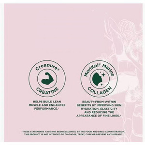 Produits de soutien à la récupération post-entraînement à la créatine, barres protéinées à l'ananas pré-entraînement, barres protéinées avec créatine - Product Image 4