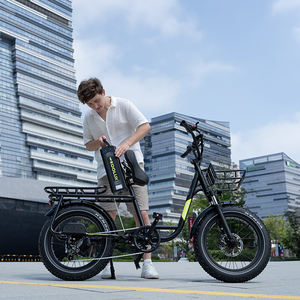 Vélo électrique cargo EU Warehouse KOOLUX X7, batterie lithium 48V 25Ah, longue autonomie, moteur 250W, cadre en alliage d'aluminium, application électronique 4G - Product Image 4
