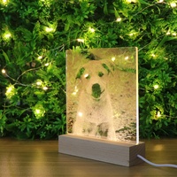 Lampe de nuit LED 3D à illusion d'optique en acrylique, lampe de table de chevet en bois USB, lampe visuelle en acrylique, décoration d'intérieur