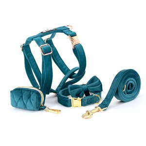 Arnés para Perro Personalizado de Diseño Exclusivo, Juego de <span class=keywords><strong>Collar</strong></span> y Correa de Lujo para Mascotas, Chaleco de Terciopelo Suave para Caminar - Product Image 3