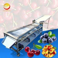 ORME Fruitverwerkingsmachine Kleine Palmvrucht Tomatensorteermachine Sinaasappel Reinigings- en Sorteermachine