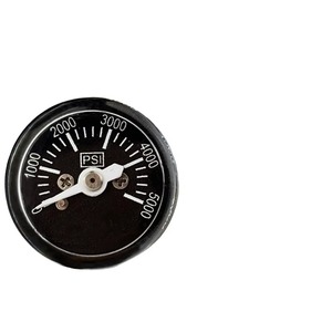 Betrouwbare Ontwerp 25mm Plastic Mini Drukmeter 2,5% Nauwkeurigheid DN25 0-5000psi Achtermontage Manometer - Product Image 2