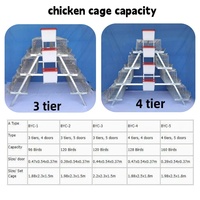 Cages à poules en batterie pour 10 000 oiseaux au Népal, conception de l'aménagement de l'élevage avicole