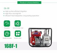 Pompe centrifuge robuste de 3 pouces, 6,5 CV, haute pression, 1000 LPM, QL-30, portée 28 m, garantie 1 an pour l'irrigation domestique
