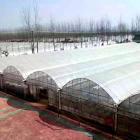 Grande structure de tunnel de serre en acier galvanisé à chaud multi-travées, longueur personnalisable pour l'agriculture hydroponique de tomates