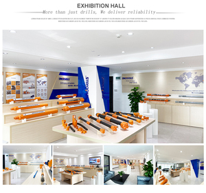 Scarpone Multifunzione di Alta Qualità per Sistema di Perforazione Eccentrica ODEX 140 - Product Image 5