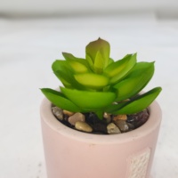 Cactus en céramique fait à la main Mini plante Figurine artificielle Succulent Pot de fleur pour la maison Table Decor Unique Home Decor