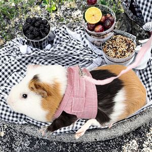 Heyri Hoa Mùa Hè Quần Áo Cho Vật Nuôi Nhỏ <span class=keywords><strong>Hamster</strong></span> Khai Thác Dây Xích Thiết Lập Guinea Lợn Sóc Chuột Chuột Khai Thác Cho <span class=keywords><strong>Hamster</strong></span> - Product Image 2