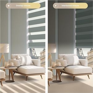 حجم مخصص دليل حمار وحشي الأسطوانة الستائر قوس قزح حمار وحشي ستائر النافذة - Product Image 2