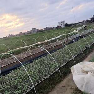 ไฟเบอร์กลาสต้นไม้เต็นท์เสาสวน Rod มะเขือเทศเนอสเซอรี่เดิมพันพืชสนับสนุนเดิมพันรั้วโพสต์ - Product Image 1