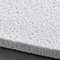 Pre-Filter UHMWPE Sintered Anti-Korosi untuk Pemantauan Kelautan & Sensor Air Laut
