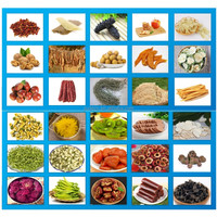 Hoogwaardige RVS 304 Dehydrator Machine Fruittransportband Hetelucht Zeevisdroogmachine Groente Mesh Belt Droger