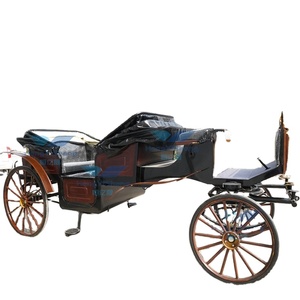 Carruaje de caballos eléctrico elegante para bodas con dosel maravilloso para transporte/Turismo transporte especial - Product Image 4
