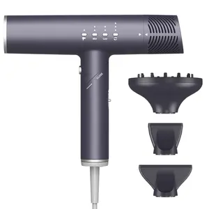 Professional Salon And Hotel Electric High Speed Bldc Motor Ionic One Step Hair Dryer With Diffuser