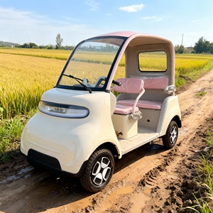 Triciclo Scooter con Techo Abierto para Adultos, Estructura de Acero Resistente, Capacidad de Carga de 300-400 kg, para Entregas Urbanas y Desplazamientos - Product Image 3