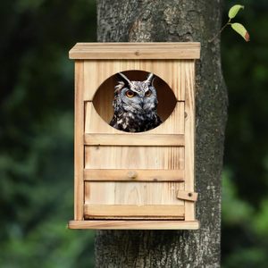 Grand Nid de hibou à ouverture rectangulaire en bois Assemblage facile <span class=keywords><strong>Chouette</strong></span> <span class=keywords><strong>effraie</strong></span> <span class=keywords><strong>effraie</strong></span> Oiseau Maison Vis de montage Sac de copeaux de bois - Product Image 4