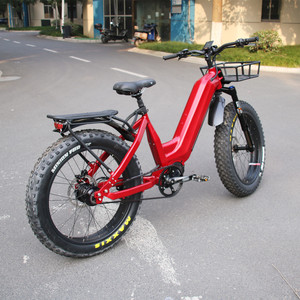 Step Thru Ebike 1000W 48V 30Ah Batterie Vélo Électrique 14 Vitesses <span class=keywords><strong>ROHLOFF</strong></span> IGH Hub 55 KM/H Belt Drive E Bike pour Adultes - Product Image 5