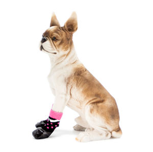 4 antiscivolo materiale TPU trasparente impermeabile zampa cane scarpe pioggia cane stivali - Product Image 3