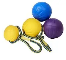 Natural Floating Foam Ball Dog Flying Disc Throwing Interactive Ball With Rope Toy For Pet Training EVA Dog Chew Toy