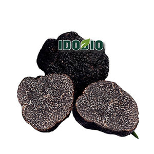 Perigord ผงสกัดจากทรัฟเฟิล,ทรัฟเฟิลเกรดอาหาร - Product Image 4